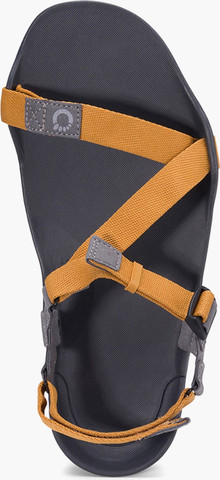 Xero Z-Trek Men - סנדלי טיולים לגברים זי-טרק זרו בצבע צהוב