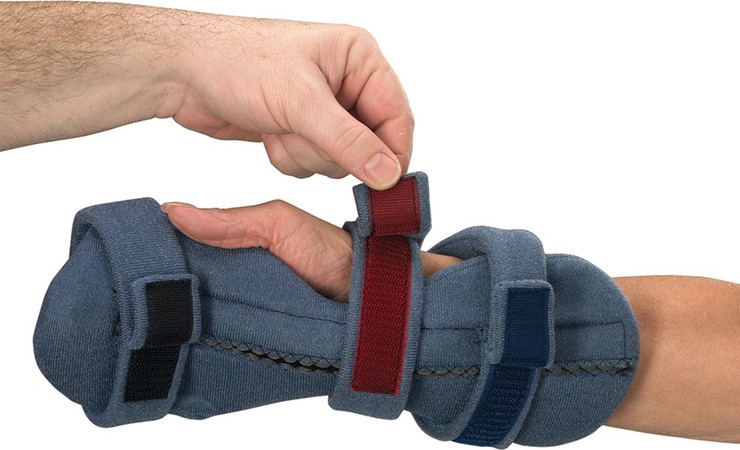סד מנוחה ליד דגם palmar