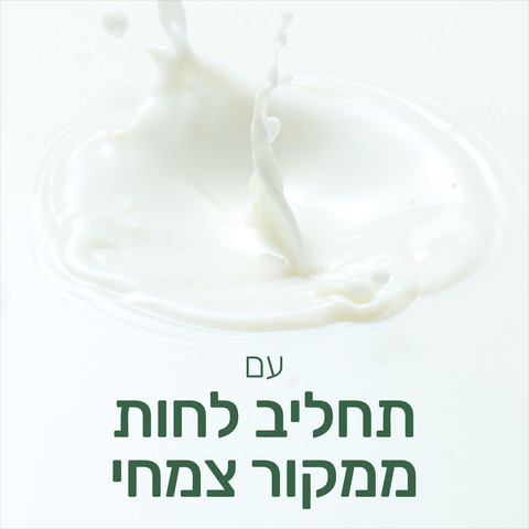 נטורלס תחליב רחצה חלב ודבש