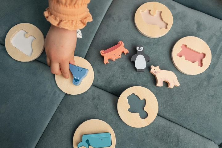 פאזל התאמת צורות לפעוטות סט 6 פאזלים - BS Toys
