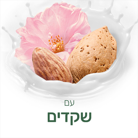 נטורלס תחליב רחצה שקדים וחלב