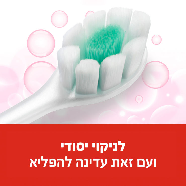 סופט פואם מברשות שיניים לניקוי יסודי