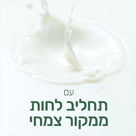 נטורלס תחליב רחצה יסמין וחלב