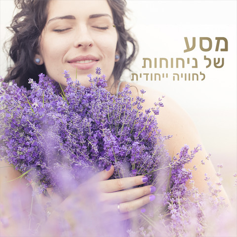 ג'ל רחצה פרובאנס