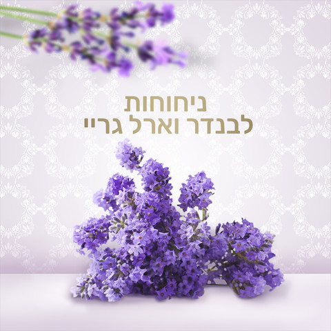 ג'ל רחצה פרובאנס