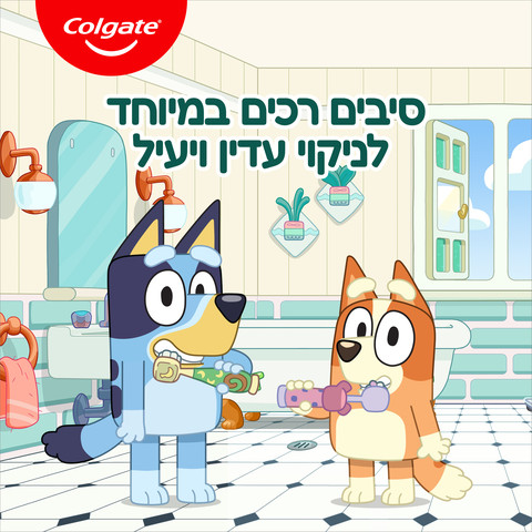 מברשות שיניים לילדים בלואי