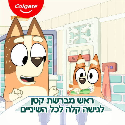 מברשות שיניים לילדים בלואי