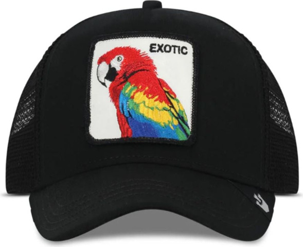 EXOTICAW כובע מצחייה עם פאץ