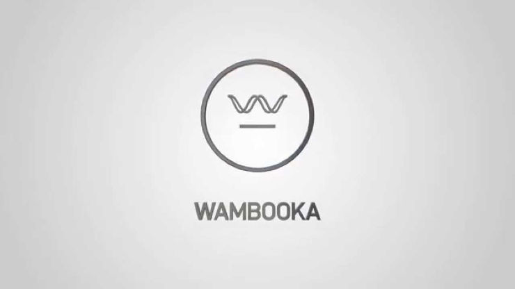דרבוקה שקופה + נרתיק wambooka