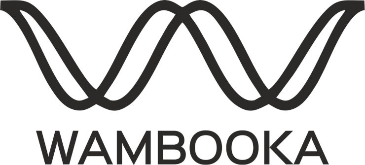 דרבוקה שקופה + נרתיק wambooka