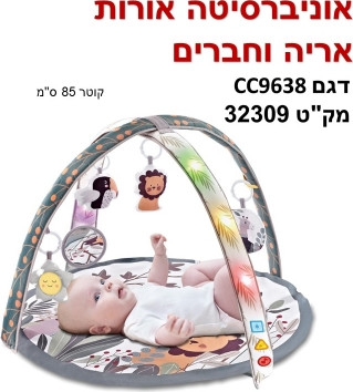 אוניברסיטה ומשטח פעילות אורות אריה וחברים
