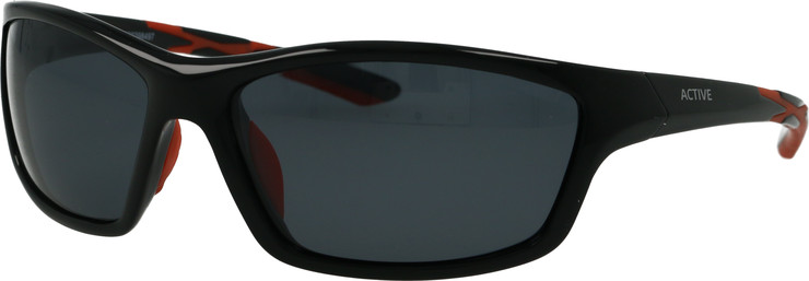 ACTIVE  008 C02 P 61-16