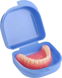 DSI קופסאות אחסון לשיניים תותבות Storage Case For Dentures