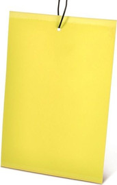 Garden Store מלכודת זבובים וחרקים מעופפים - 10 יח' מלכודת דבק מקצועית למזיקים | צהוב, גודל M
