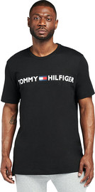 TOMMY HILFIGER טי שירט Tommy Hilfiger לגברים