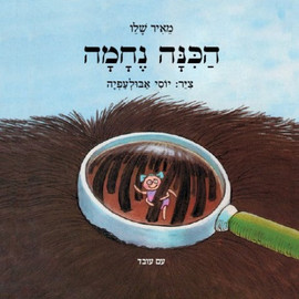 ליאור שרף הכינה נחמה - ספר קרטון / מאיר שלו