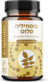 ספירולייף בוסווליה פלוס
