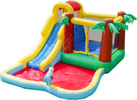 Doctor Dolphin מתקן מתנפח עם מגלשה דגם NT-063118J