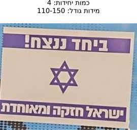 הקונטיינר 4 דגלי ישראל עם כיתוב מידות 110-150 ס”מ