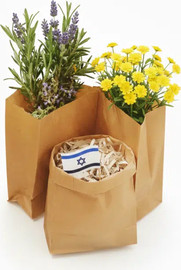 מסיבלנד שקיות נייר בסיס קראפט-25 יחידות