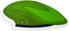 מסיבלנד מפיות בצורת כומתה-16 יחידות