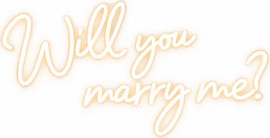 מסיבלנד שלט ניאון לד will you marry  me