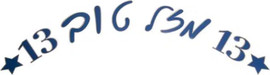 מסיבלנד שלט גדול לבר מצווה