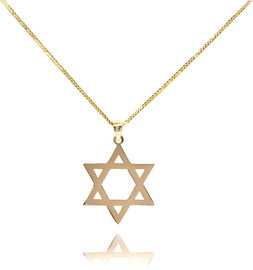 Danny Newfeld שרשרת תליון מגן דוד מזהב של 14 קראט.