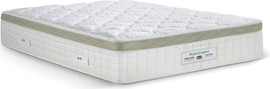 דר גב מזרן פרפקט קומפורט PERFECT COMFORT