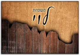 BABY-NAME שלט מגנטי גדול לדלת הבית