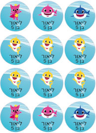 BABY-NAME סט מדבקות יומולדת 48 מדבקות עם שם וגיל הילד/ה