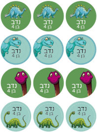 BABY-NAME סט מדבקות יומולדת 48 מדבקות עם שם וגיל הילד/ה
