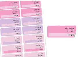 BABY-NAME סט 14 מדבקות בית ספר למחברות עם הדפסת שם הילד/ה + כיתה ומקום לרשום מקצוע