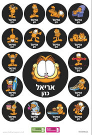 BABY-NAME מדבקות עם שם אישי (17 מדבקות)