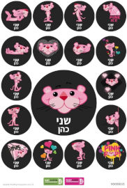 BABY-NAME מדבקות עם שם אישי (17 מדבקות)