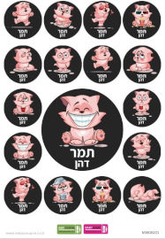 BABY-NAME מדבקות עם שם אישי (17 מדבקות)