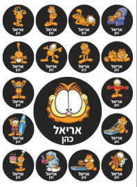 BABY-NAME מדבקות גיהוץ עם שם אישי (17 מדבקות)