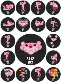 BABY-NAME מדבקות גיהוץ עם שם אישי (17 מדבקות)