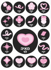 BABY-NAME מדבקות גיהוץ עם שם אישי (17 מדבקות)