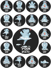 BABY-NAME מדבקות גיהוץ עם שם אישי (17 מדבקות)