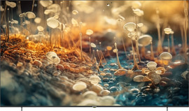 Prosonic מסך טלוויזיה חכמה QLED MINI LED 90" 4K PROSONIC (WebOS22) 90MLOS22