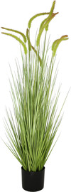 HOME עציץ דשא גבוה 1.20 מטר