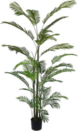 Be Unique עץ דקל מלאכותי מעוצב 36 עלים בצבע ירוק 250CM