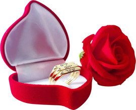 BL jewelry טבעת פס קלאסית BL jewelry בל ג׳ולרי פס - ציפוי זהב
