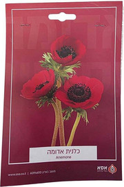 ינשוף מרקט מארז 10 פקעות כלנית - אדומות