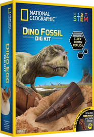 Buki France ערכת חפירה וארכיאולוגיה – שיני T REX מבית נשיונל ג'יאוגרפיק