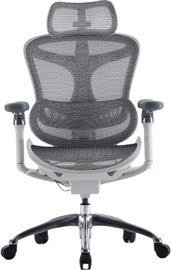 Sihoo כסא מנהלים SIHOO Doro-C300 Pro Light Gray
