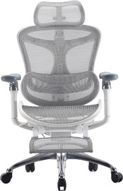 Sihoo כסא מחשב SIHOO Doro-C300 PRO Light Gray Footrest