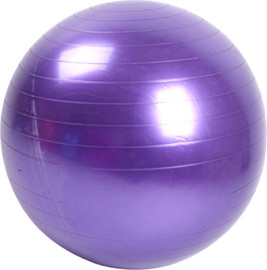 SportSale כדור פיזיו מקצועי 55 ס"מ – צבע סגול