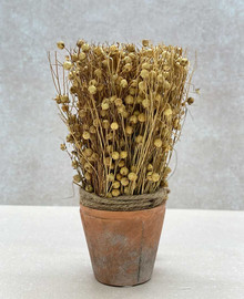 מלח הארץ סידור טישי - 20X7.5X7.5